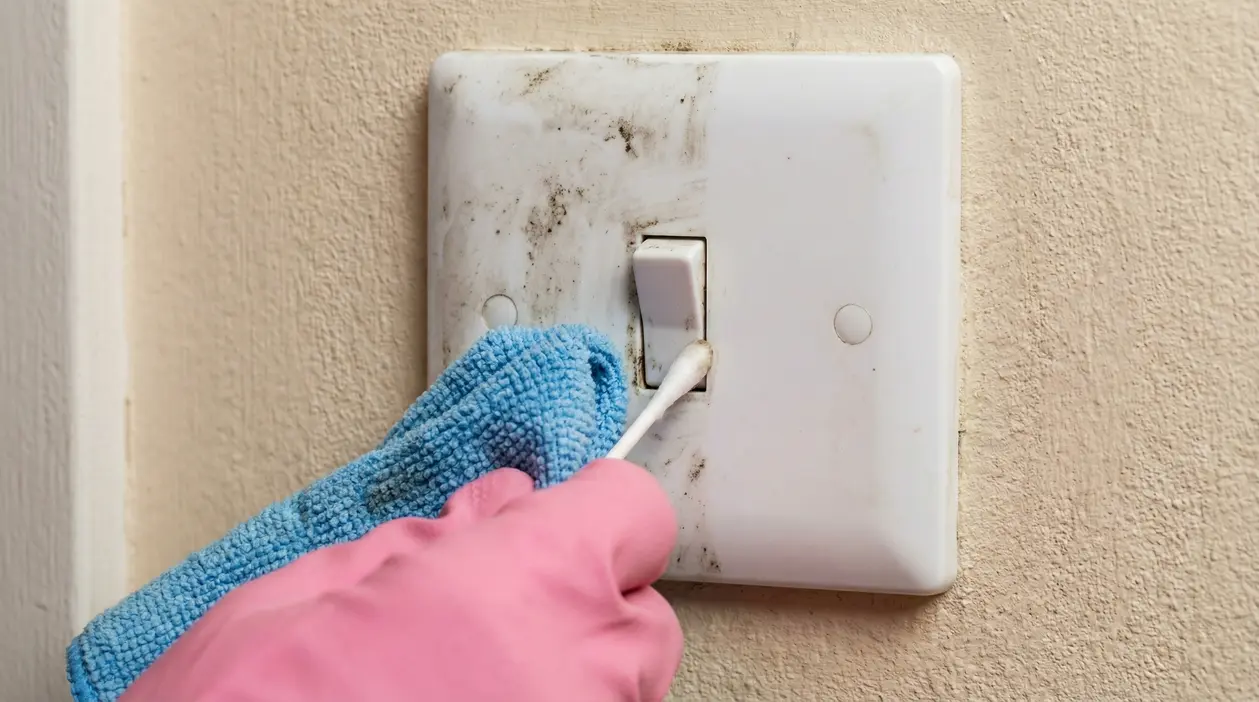 Una mano con guanto rosa pulisce un interruttore della luce sporco con un cotton fioc