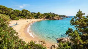 Spiaggia tranquilla con mare cristallino e vegetazione mediterranea a giugno